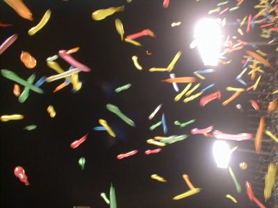 野球観戦の写真